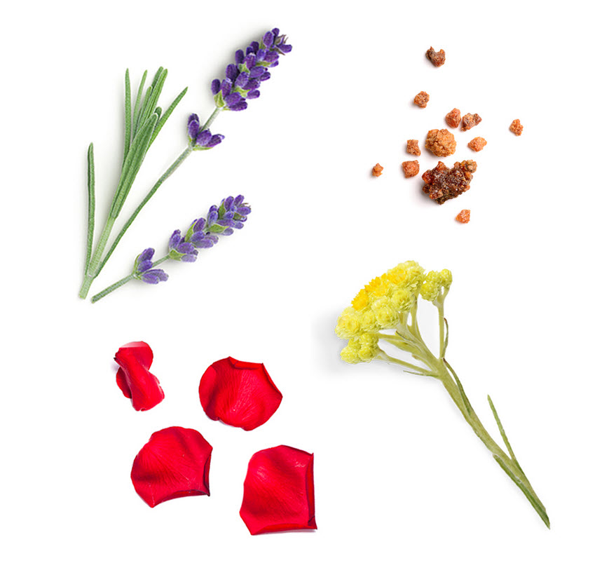 doTERRA Salubelle Beauty Mischung Inhalt