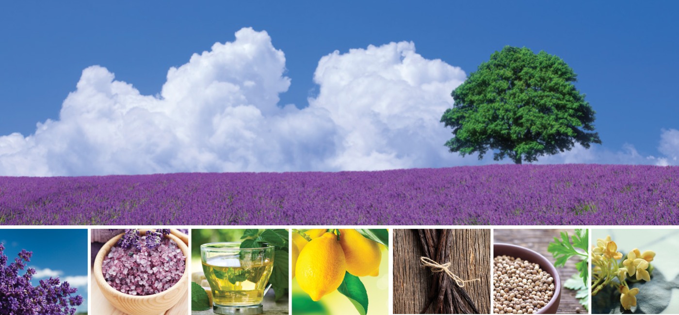doTERRA CPTG Getestet Vertrauenswürdig