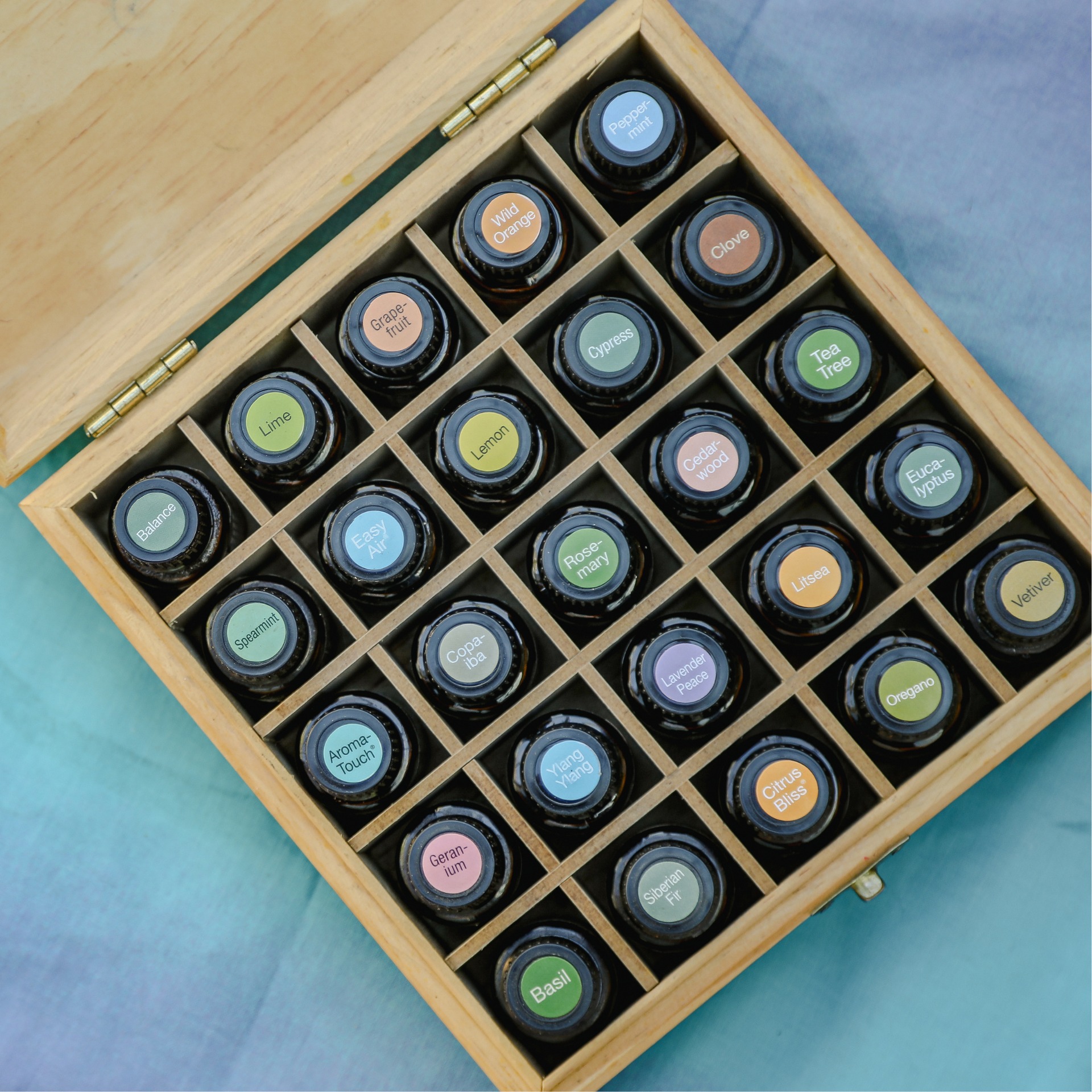 doTERRA Einschreibungs Kits